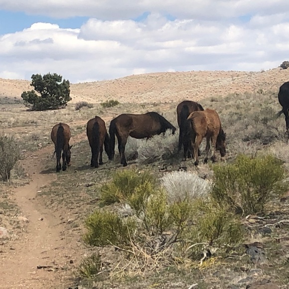 LIVE SHARE SHOW Tuesday Nov 4- 9 EST/6 PST - Picture 6 of 12